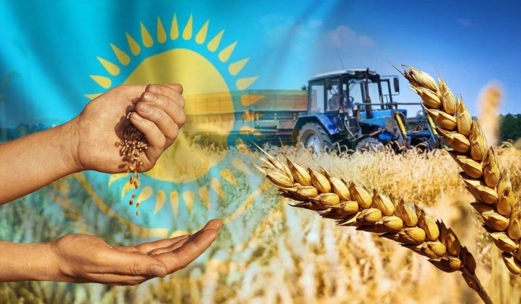 قزاقستان سهم محصولات فرآوری‌شده در صادرات کشاورزی را تا ۷۰ درصد افزایش می‌دهد