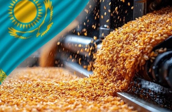 طرح‌های دولت برای افزایش فرآوری محصولات کشاورزی قزاقستان